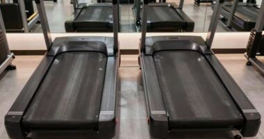 choosing between incline and flat