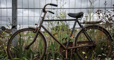 revitalize fundraising narrative