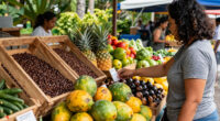 Essential COSTA RICA Brings Costa Rican Agricultural Products To Millions Of European Consumers