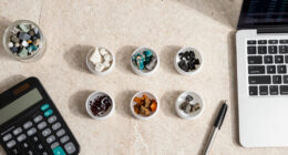 NIOB Seigneurie Assays Confirm Heavy Rare Earth Mineralization